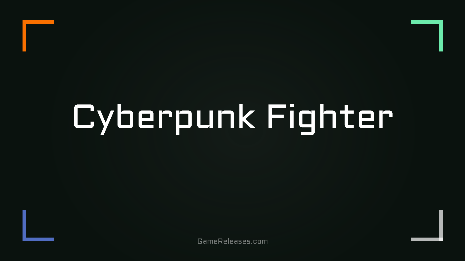 Cyberpunk Fighter